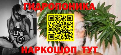 mdpv Новокубанск