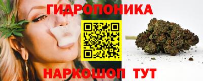 амф Новодвинск