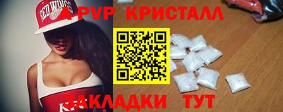 амф Новодвинск