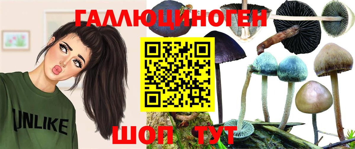 Псилоцибиновые грибы мицелий  Вход с VPN  Свободный 