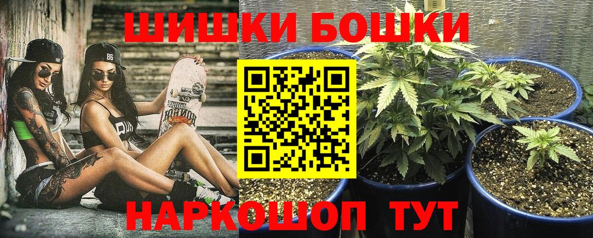 Бошки Шишки марихуана Свободный